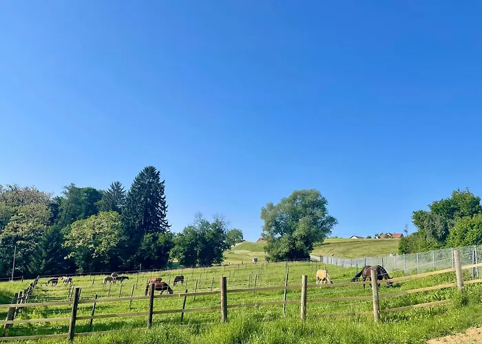 Trinity Ranch Apartament
